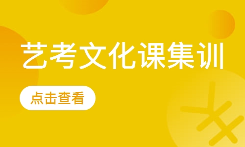 艺考文化课集训
