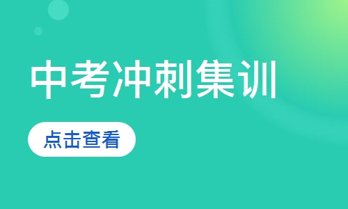 中考冲刺集训